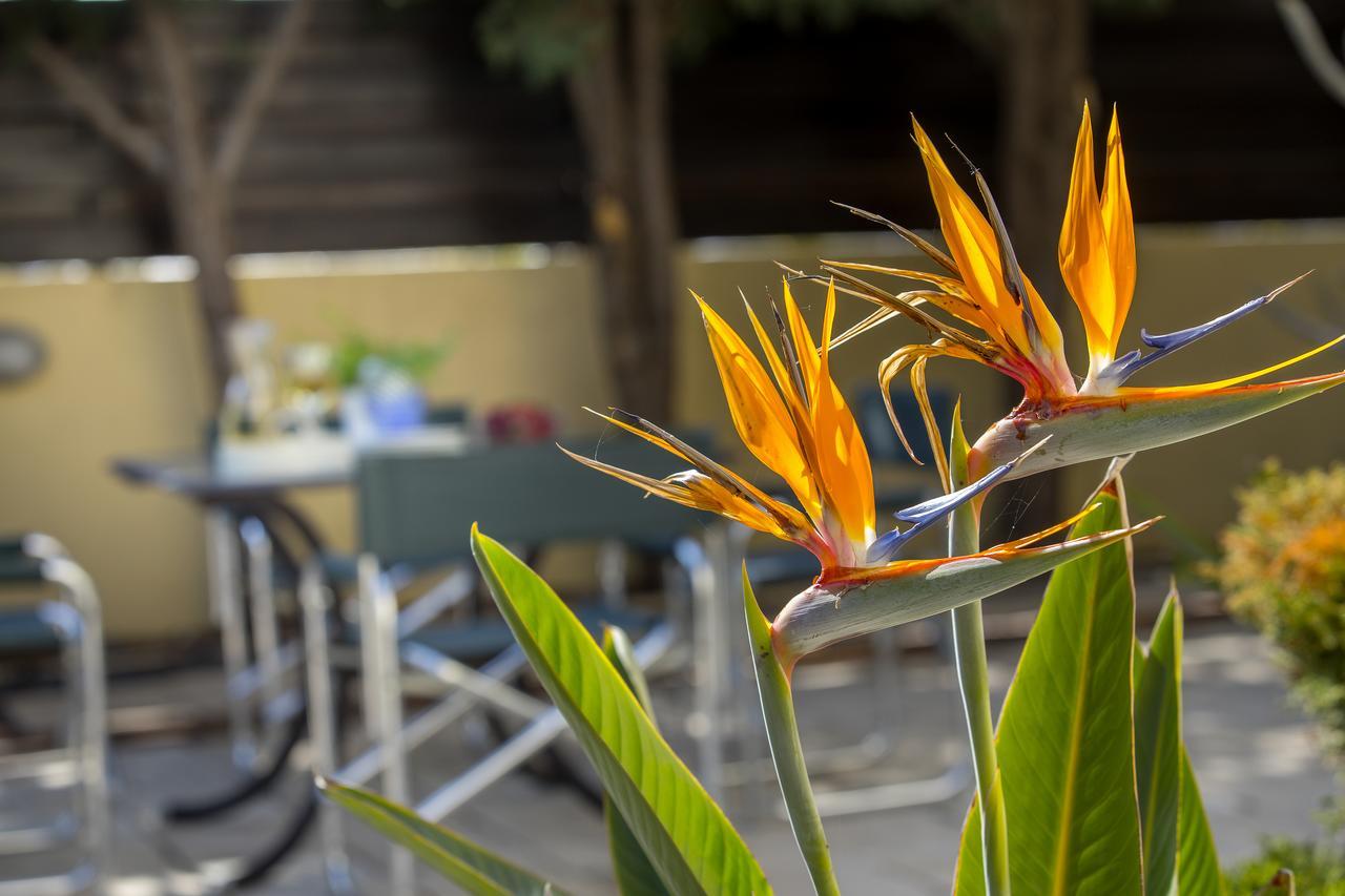 Ayia Napa Tropical Beach Villa Bagian luar foto